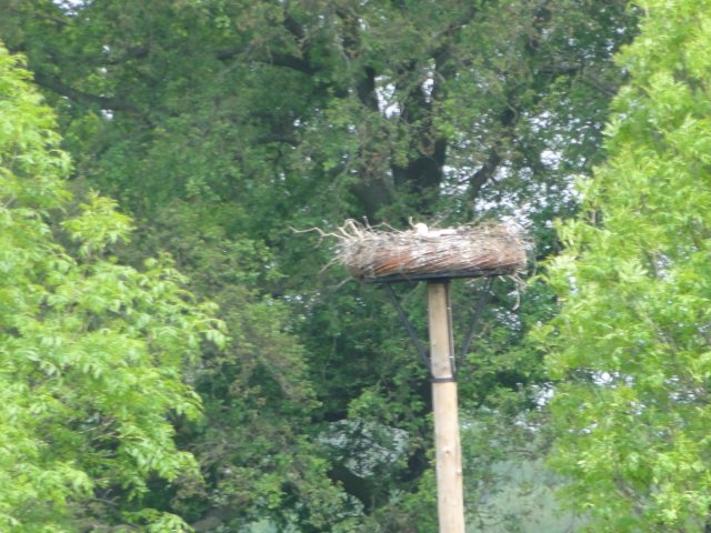 HWK 2012 267.jpg